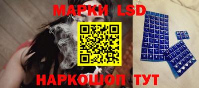 apvp Канаш