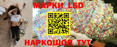 apvp Канаш