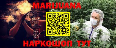 apvp Канаш