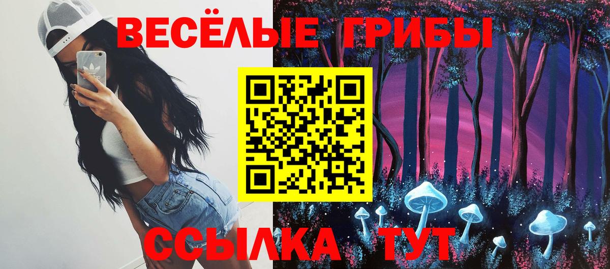 Псилоцибиновые грибы GOLDEN TEACHER Кудрово